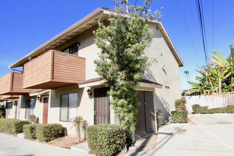 Clairemont 5 Condos, Lofts & Townhomes For Sale Clairemont 5 Real