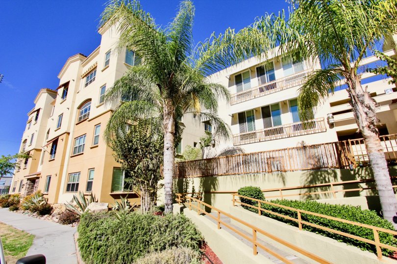 Campus Walk Condos, Lofts & Townhomes For Sale Campus Walk Real Estate Campus Walk, College