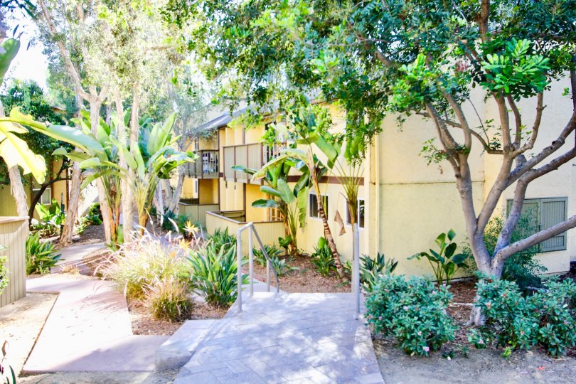 Lake Park Villas Condos, Lofts & Townhomes For Sale Lake Park Villas