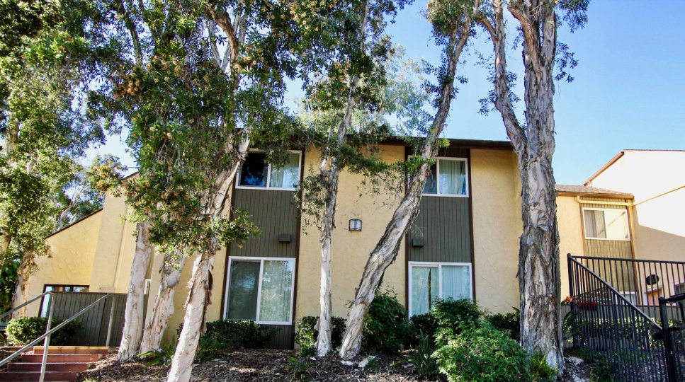 Lake Park Villas Condos, Lofts & Townhomes For Sale Lake Park Villas