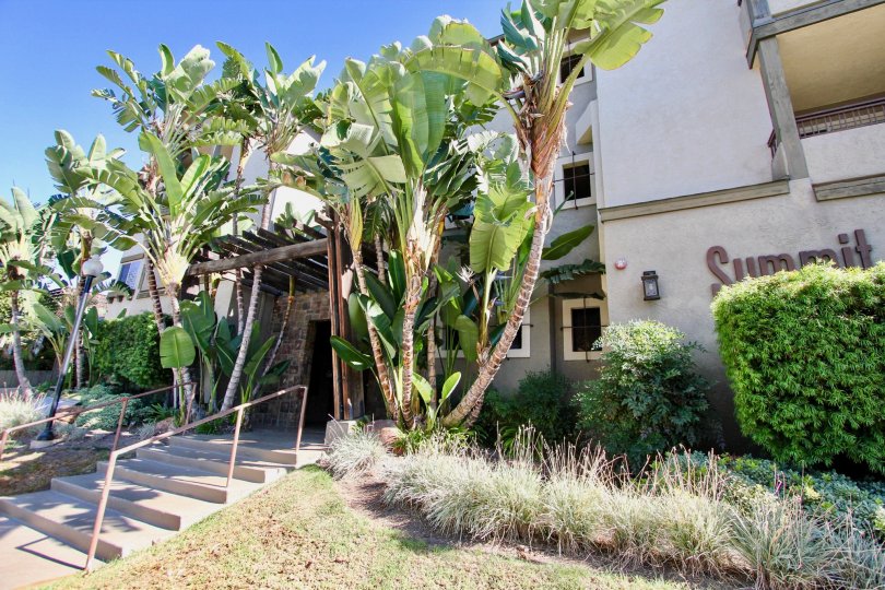 Summit Place Condos, Lofts & Townhomes For Sale Summit Place Real