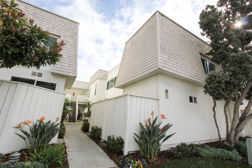 Antigua Court Condos, Lofts & Townhomes For Sale Antigua Court Real