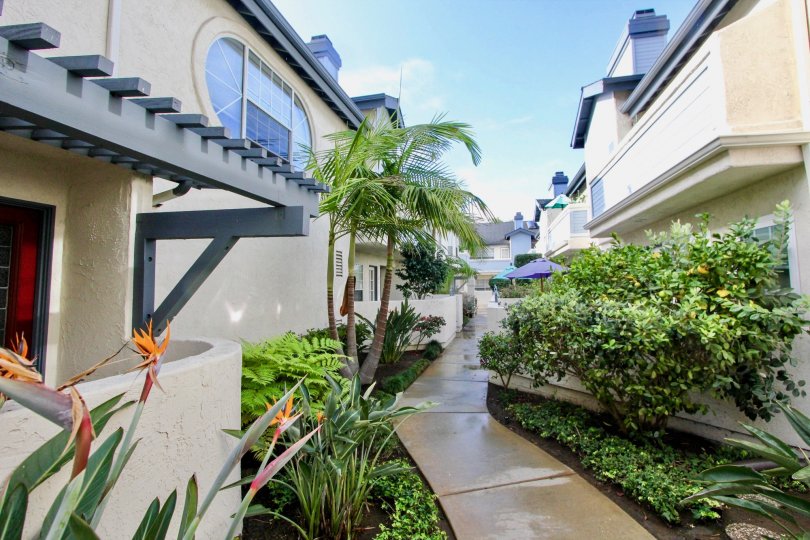 Oxford Park Condos, Lofts & Townhomes For Sale Oxford Park Real