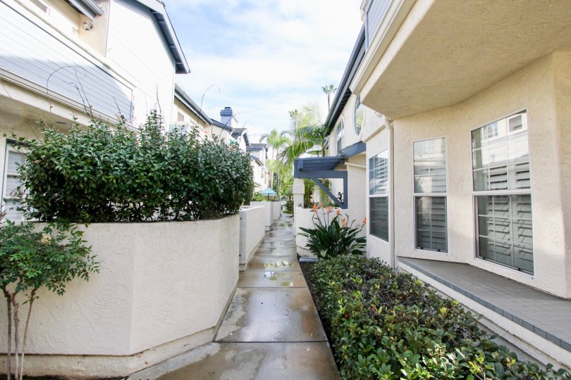 Oxford Park Condos, Lofts & Townhomes For Sale Oxford Park Real