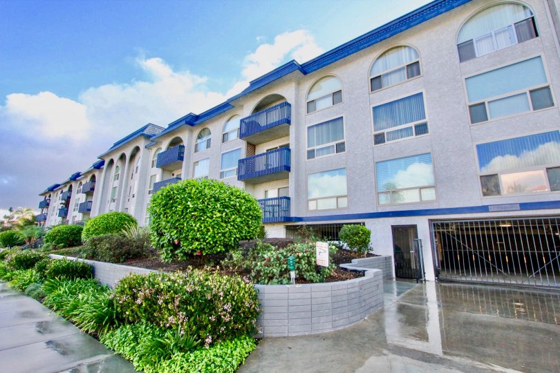 The Commodore Condos, Lofts & Townhomes For Sale The Commodore Real