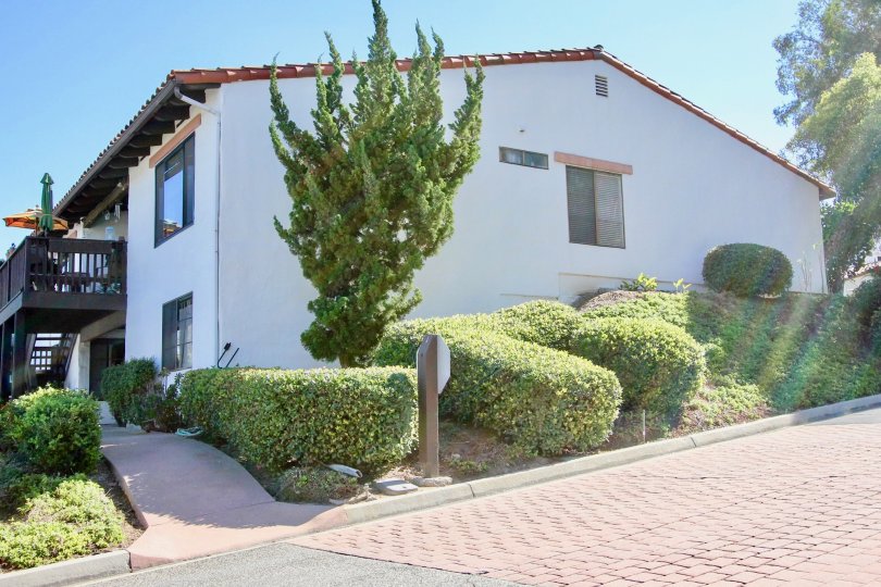 Buena Ventura Condos, Lofts & Townhomes For Sale Buena Ventura Real