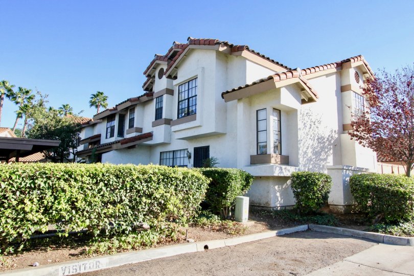 Felicita Villas Condos, Lofts & Townhomes For Sale Felicita Villas