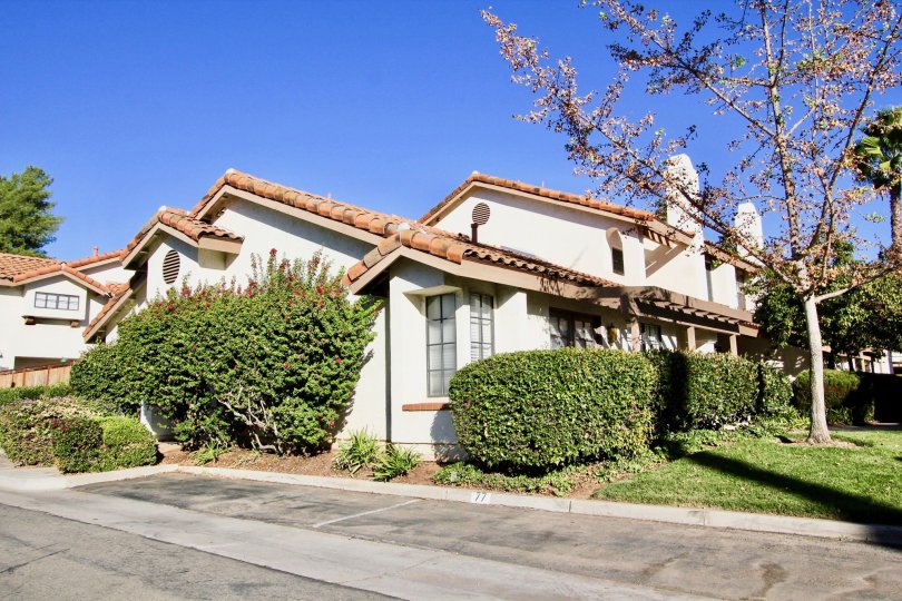 Felicita Villas Condos, Lofts & Townhomes For Sale Felicita Villas