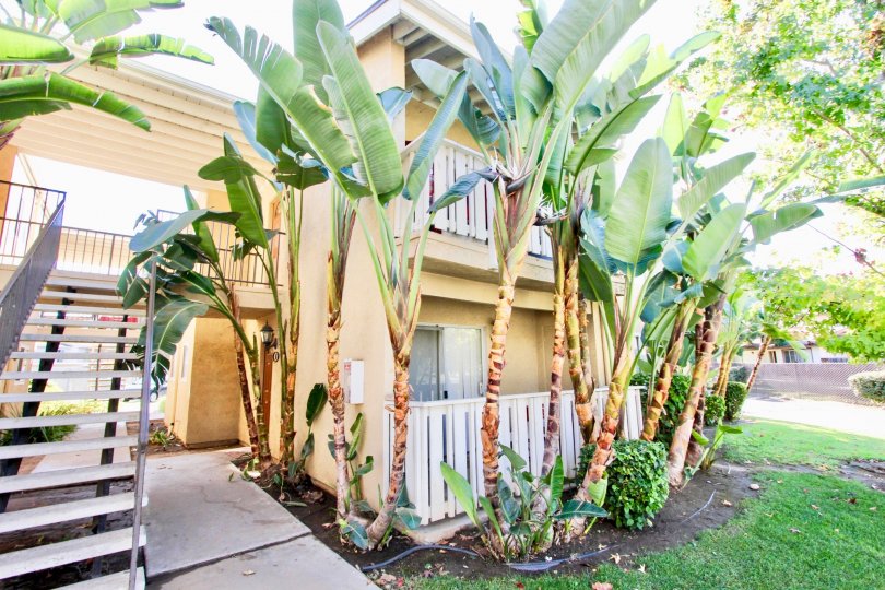 Hampton Place Condos, Lofts & Townhomes For Sale Hampton Place Real