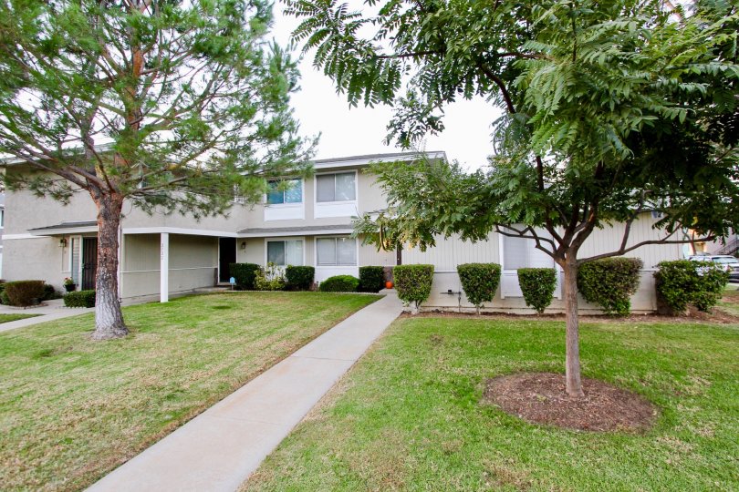 Shadow Mountain Condos, Lofts & Townhomes For Sale Shadow Mountain