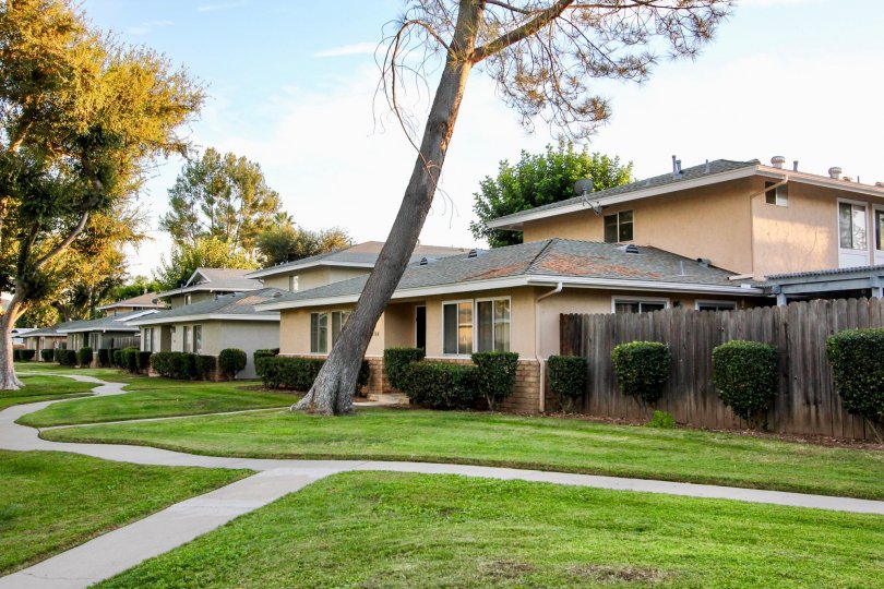 Shadow Mountain Condos, Lofts & Townhomes For Sale Shadow Mountain