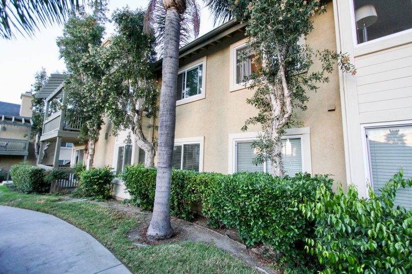 Sienna Hills Condos, Lofts & Townhomes For Sale Sienna Hills Real