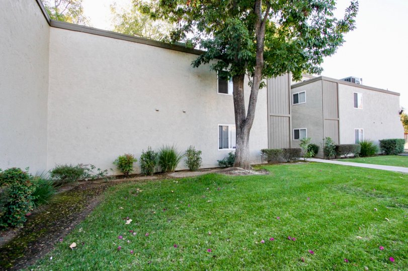 White Oak Estates Condos, Lofts & Townhomes For Sale White Oak