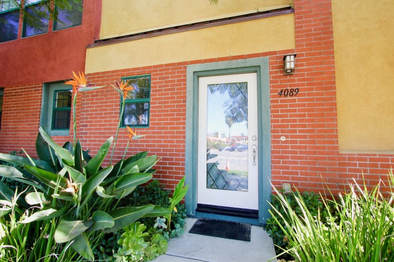 12 on Polk Condos, Lofts & Townhomes For Sale 12 on Polk Real Estate