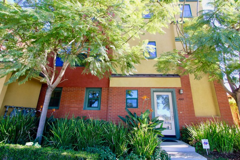 12 on Polk Condos, Lofts & Townhomes For Sale 12 on Polk Real Estate