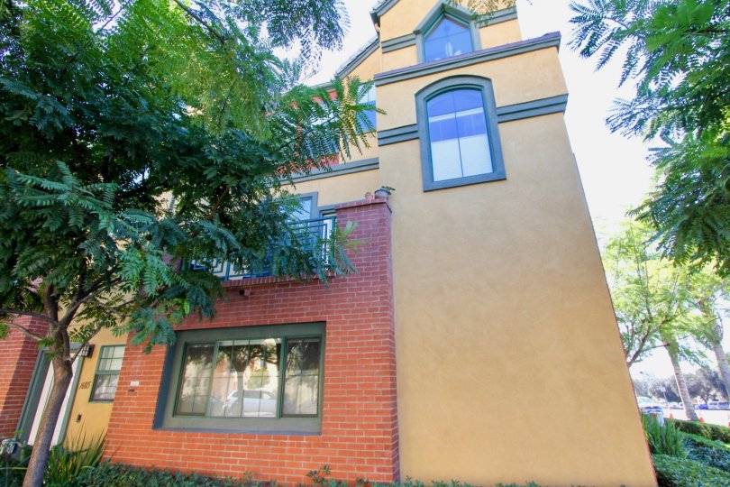 12 on Polk Condos, Lofts & Townhomes For Sale 12 on Polk Real Estate