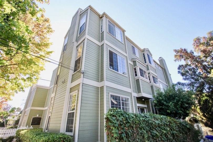 Arbor Village Condos, Lofts & Townhomes For Sale Arbor Village Real