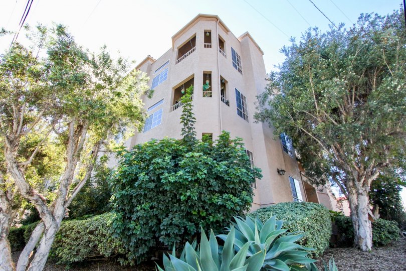 Arbor Woods Condos, Lofts & Townhomes For Sale Arbor Woods Real