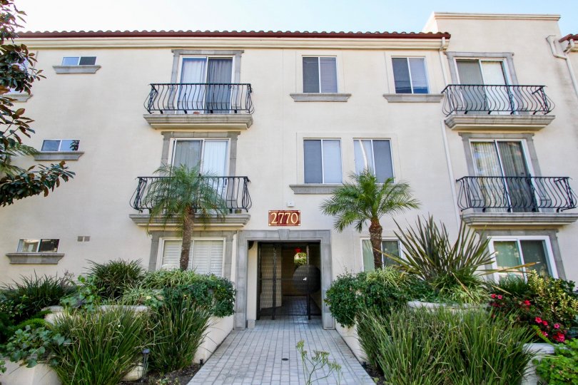 Bridgewater Condos, Lofts & Townhomes For Sale Bridgewater Real