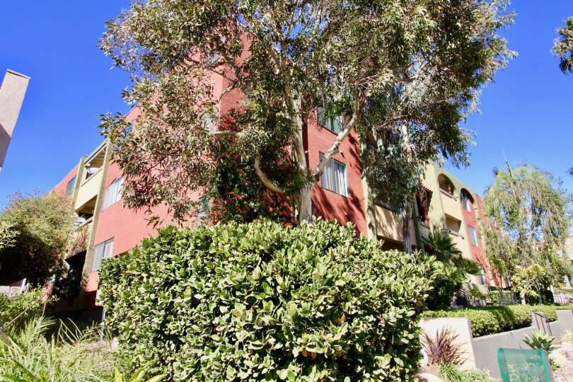 Centre Park Terrace Condos, Lofts & Townhomes For Sale Centre Park