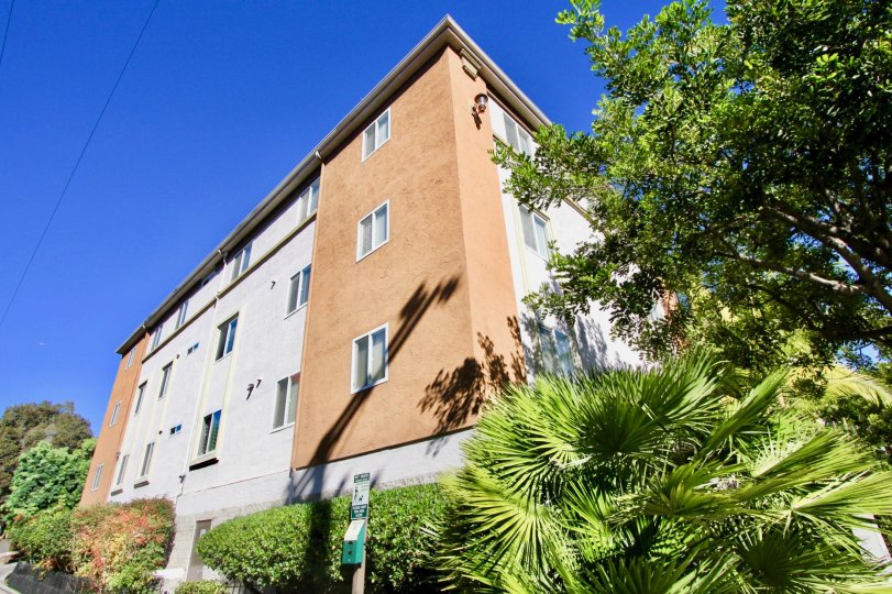 Essex Place Condos, Lofts & Townhomes For Sale Essex Place Real