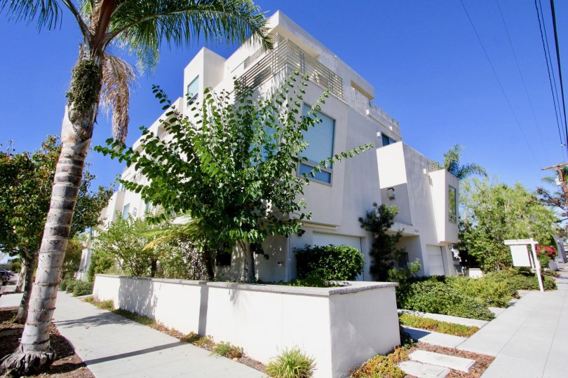 Essex Royal Condos, Lofts & Townhomes For Sale Essex Royal Real