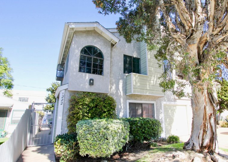 Essex Street Condos Condos, Lofts & Townhomes For Sale Essex Street