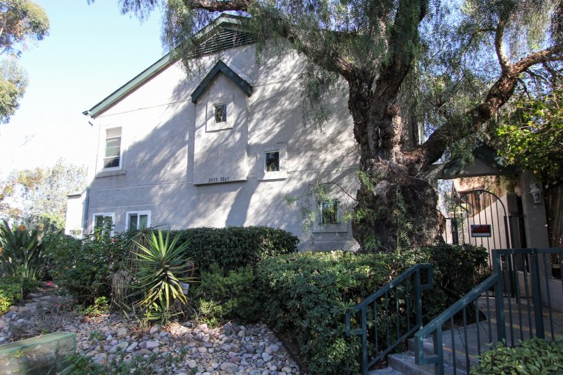 Eucalyptus Condos, Lofts & Townhomes For Sale Eucalyptus Real Estate