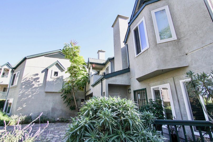 Eucalyptus Condos, Lofts & Townhomes For Sale Eucalyptus Real Estate