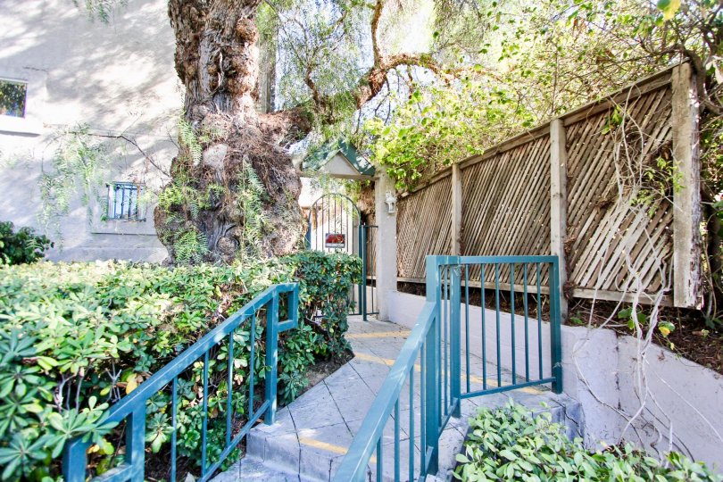 Eucalyptus Condos, Lofts & Townhomes For Sale Eucalyptus Real Estate