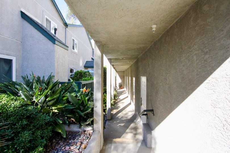 Eucalyptus Condos, Lofts & Townhomes For Sale Eucalyptus Real Estate