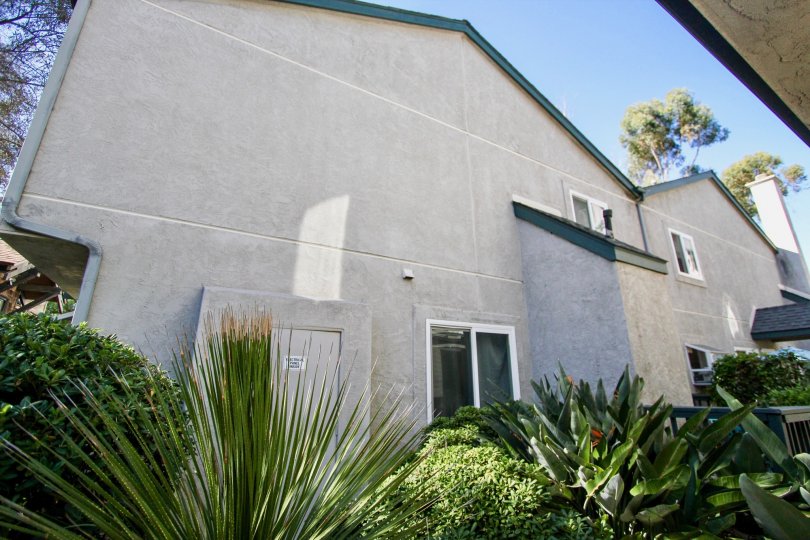 Eucalyptus Condos, Lofts & Townhomes For Sale Eucalyptus Real Estate