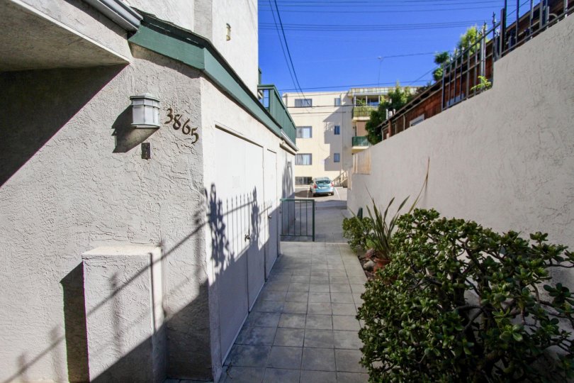 Eucalyptus Condos, Lofts & Townhomes For Sale Eucalyptus Real Estate