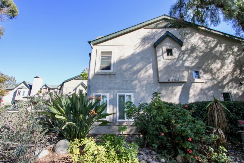 Eucalyptus Condos, Lofts & Townhomes For Sale Eucalyptus Real Estate