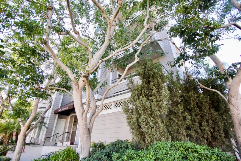 Windsor Place Condos, Lofts & Townhomes For Sale Windsor Place Real