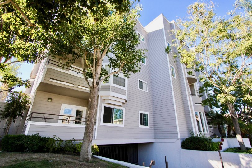 Windsor Place Condos, Lofts & Townhomes For Sale Windsor Place Real