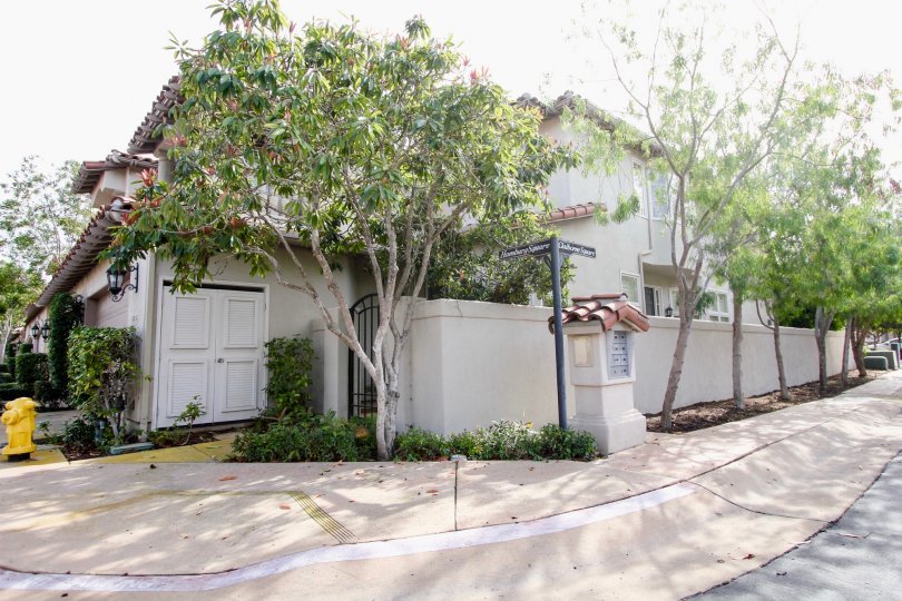 Blackhorse Condos, Lofts & Townhomes For Sale Blackhorse Real Estate