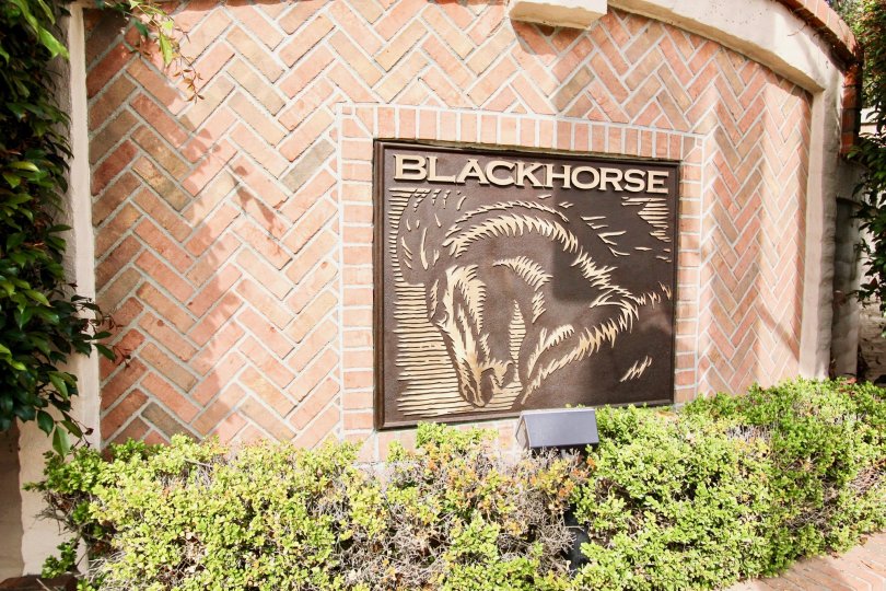Blackhorse Condos, Lofts & Townhomes For Sale Blackhorse Real Estate