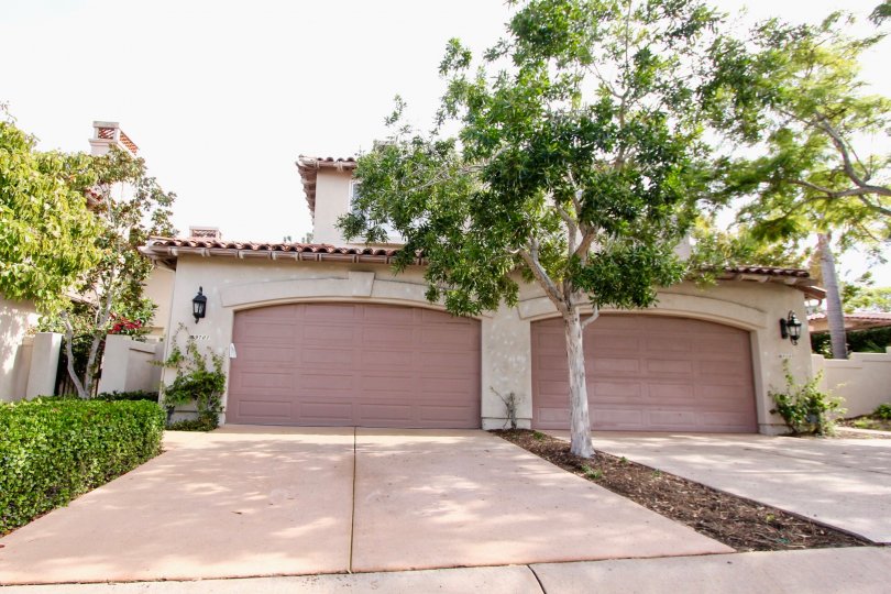 Blackhorse Condos, Lofts & Townhomes For Sale Blackhorse Real Estate