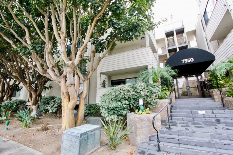 Clinton Manor Condos, Lofts & Townhomes For Sale Clinton Manor Real Estate Clinton Manor, La