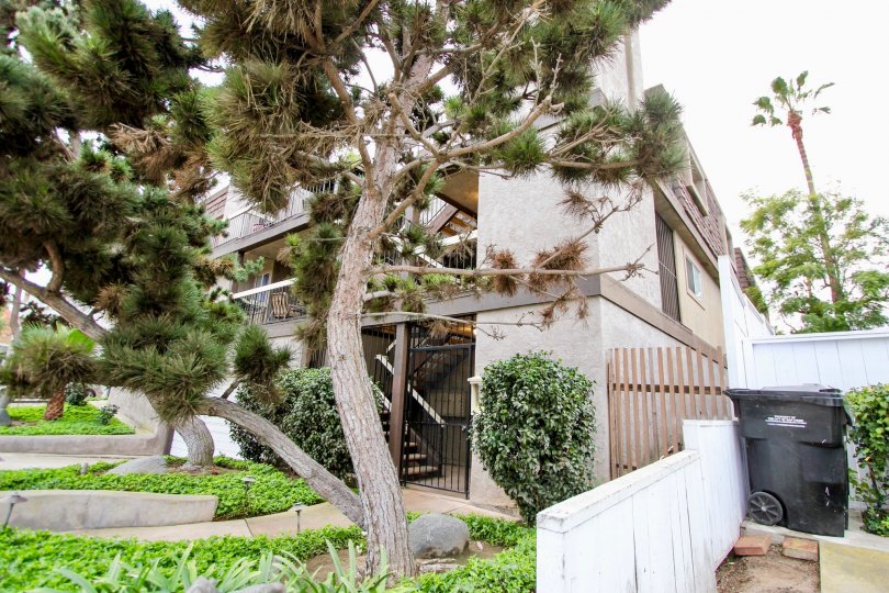 Herschel Condos Condos, Lofts & Townhomes For Sale Herschel Condos