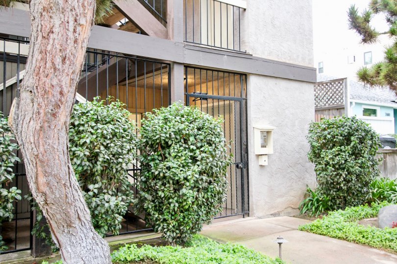 Herschel Condos Condos, Lofts & Townhomes For Sale Herschel Condos