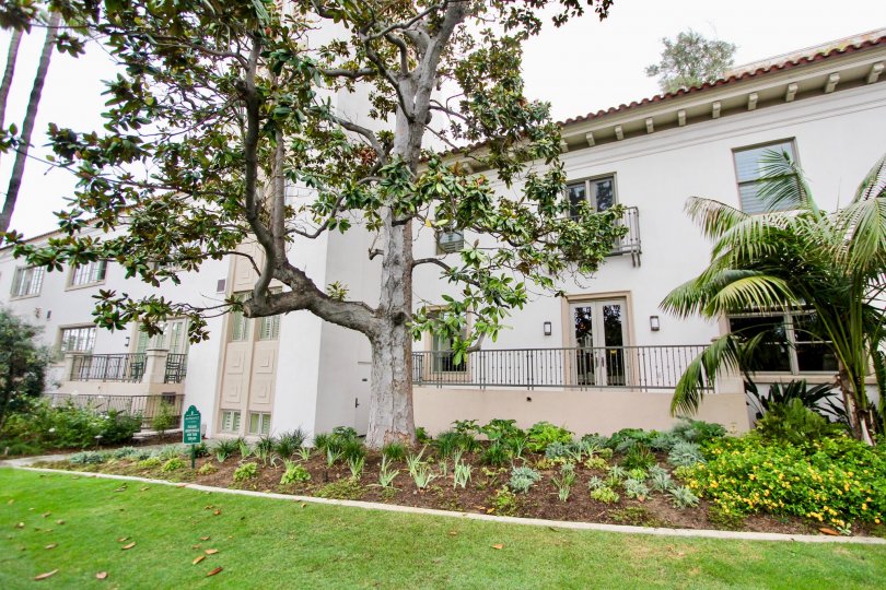 La Jolla Prospect Condos Condos, Lofts & Townhomes For Sale La Jolla