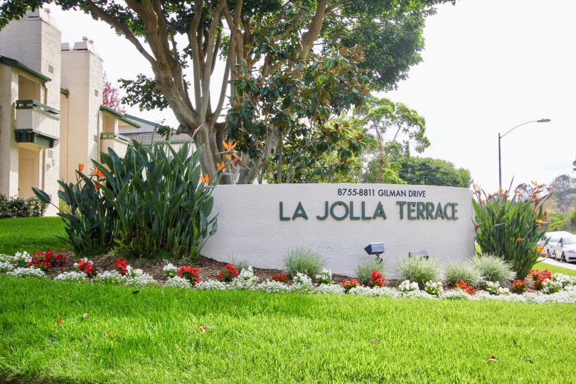 La Jolla Terrace Condos, Lofts & Townhomes For Sale | La Jolla Terrace ...