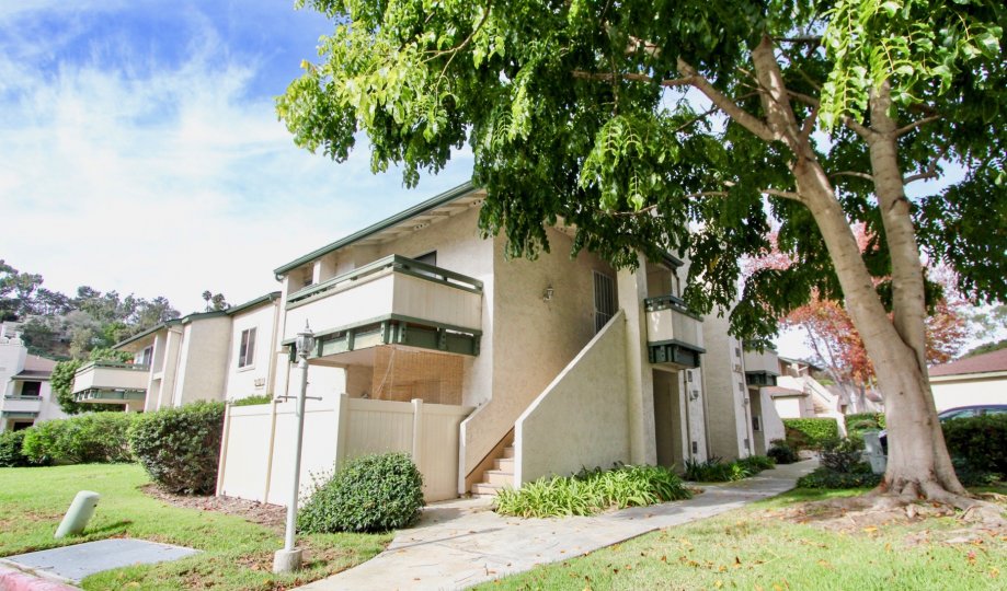 La Jolla Terrace Condos, Lofts & Townhomes For Sale La Jolla Terrace