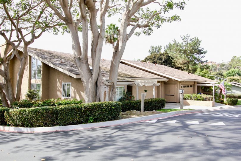 Mount La Jolla Condos, Lofts & Townhomes For Sale Mount La Jolla Real