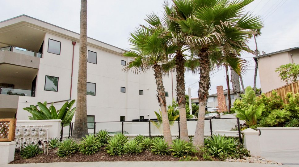 One Neptune Condos, Lofts & Townhomes For Sale One Neptune Real