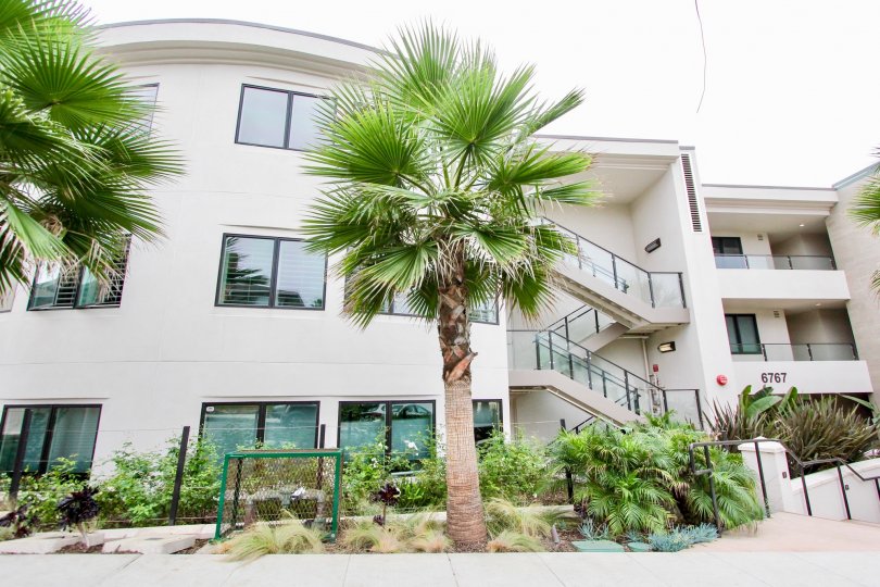 One Neptune Condos, Lofts & Townhomes For Sale One Neptune Real