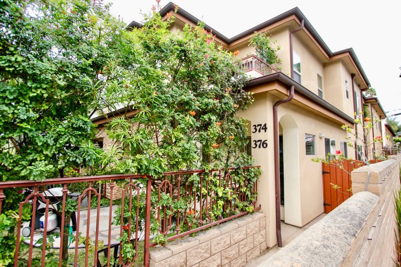 Playa Del Norte Condos, Lofts & Townhomes For Sale Playa Del Norte