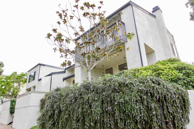 The Woodlands Condos, Lofts & Townhomes For Sale The Woodlands Real